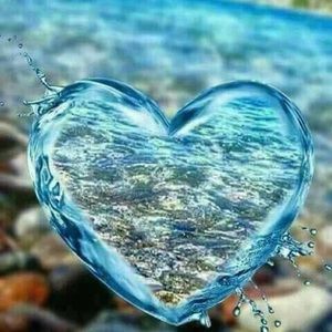 Meet your Posher, Rennai